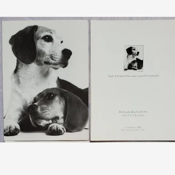 2 (two) Puppy Greeting Cards - Picture 4 of 5